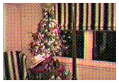 [Screen Capture from Ramsey's 1994 Colorado Christmas Video that appeared on the Peter Boyles website in 1998]