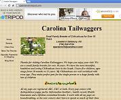 [Casey Parsons webpage on 'Carolina Tailwaggers']