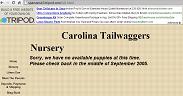 [Casey Parsons webpage on 'Carolina Tailwaggers']