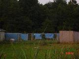 [Online Complaint dated 05-26-2010 regarding Puppy Mill at 275 Trexler Loop Rd, Salisbury, NC 28144]