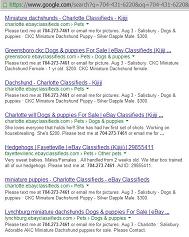 [August 3, 2013 Google Ads for Puppies and Hedgehogs for Sale]