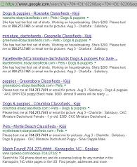 [August 3, 2013 Google Ads for Puppies and Hedgehogs for Sale]