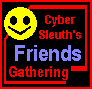 [Cyber Meetings]