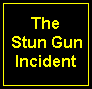 [Dixie Stungun Incident]