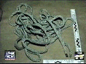 [Rope from John Andrew Ramsey's Bedroom]